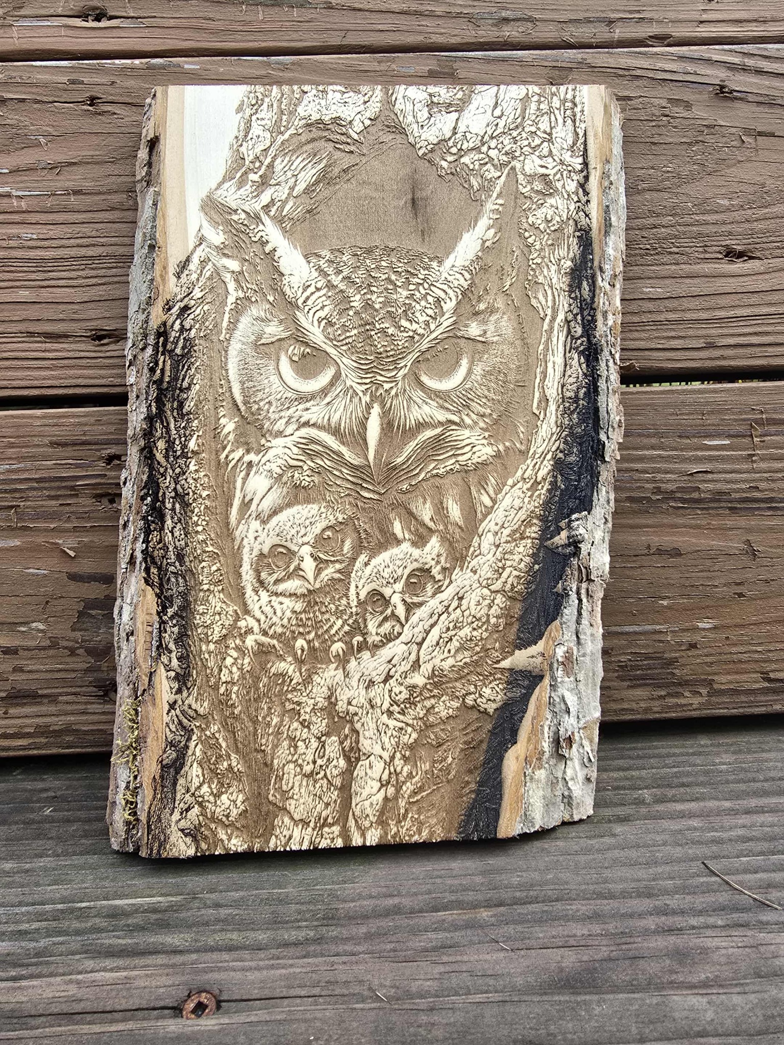 Detailed owl family engraved on a natural bark-edge wood slab
